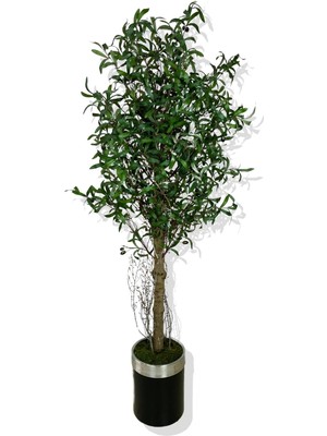 Cihan Çiçekçilik Yapay Zeytin Ağacı 180 cm