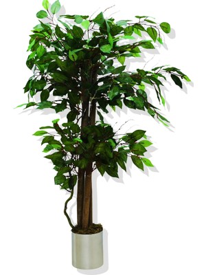 Cihan Çiçekçilik Yapay Ağaç Benjamin 100 cm Metal Saksıda
