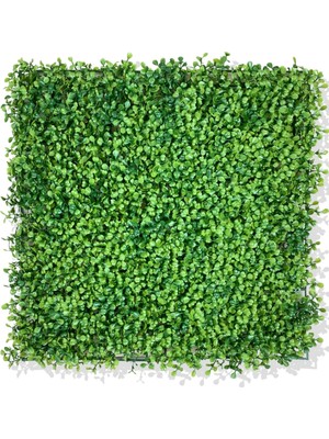 Cihan Çiçekçilik U.v Dayanımlı Yapay Şimşir Bitki Duvar Kaplama 50X50 cm Yeşil