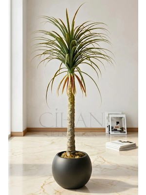 Cihan Çiçekçilik Yapay Dracaena Marginata - Beyaz Küre Saksı