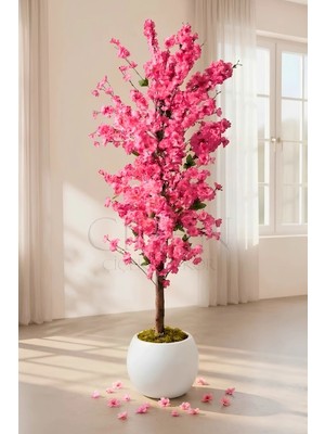 Cihan Çiçekçilik Yapay Pembe Bahar Dalı Ağacı 200 cm Küre Saksılı