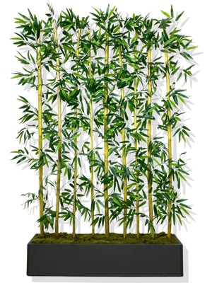 Cihan Çiçekçilik Bambu Seperatör 180 cm 9 Adet Bambu 100 cm Antrasit Saksı