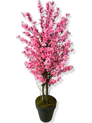 Cihan Çiçekçilik Yapay Ağaç Pembe Bahar Dalı 160 cm Siyah Saksı