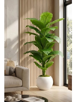 Cihan Çiçekçilik 160 cm Yapay Difenbahya Ağacı - 30X30 Küre Saksılı