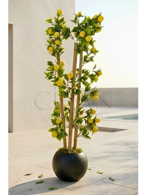 Cihan Çiçekçilik Yapay Limon Bambu Ağacı - Siyah Küre Saksılı 100 cm