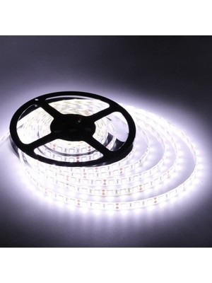 Cata LED Şerit 10 Çipli Yüksek Lümenli 5 mt