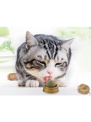 Kaufhier Kedi Nanesi Oyun Topu