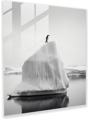 Popcas Yalnız Penguen Temalı Minimalist Cam Tablo