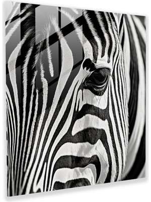 Popcas Modern Zebra Temalı Temperli Cam Tablo