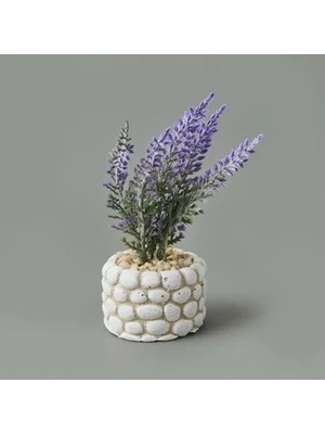 Matmel Mini Saksıda Lavanta - Asorti - 10X5X5 cm