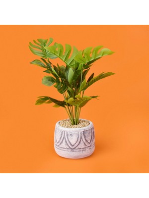 Matmel Beyaz Saksıda Deve Tabanı - Renkli - 13X38 cm