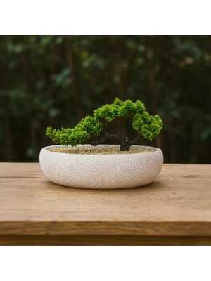 Matmel Desenli Elips Saksıda Bonsai - Renkli - 24X33 cm