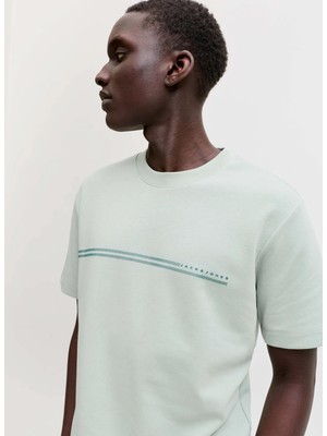 Jack & Jones Açık Gri Erkek Regular Fit Çizgili T-Shirt 12289936 Jcofusıon Brand Tee Crew