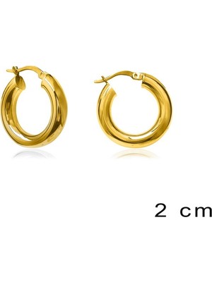 Emiliano Jewellery Altın Kaplamalı Şarnel Halka Gümüş Küpe