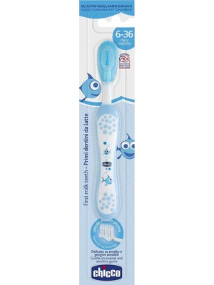 Chicco İlk Süt Dişi Fırçası Mavi 6-36 Ay