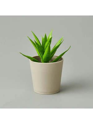 Matmel Dekor Mini Sukulent - Asorti - 6x9 cm