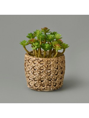 Matmel Hasır Efekt Saksıda Sukulent - 7X8X8 cm
