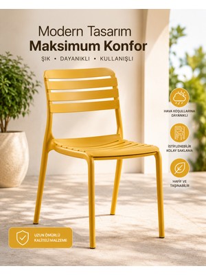 Novussi Not Sandalye 6'lı Paket