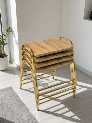 Eryalux Home 4'lü Tepsi Model Gold-Çam Modern Sehpa