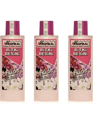 Peri Store Orkide Besini x 3 Adet