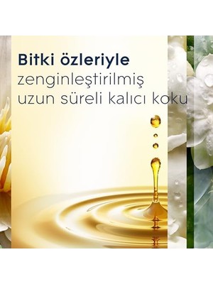Peri Store Glade Elektrikli Oda Kokusu Yedek, Çiçekleri