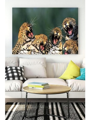 Peri Store (PSTER16831) Gülen Leoparlar Eğlenceli Mizahi Kanvas Tablo 30 x 40