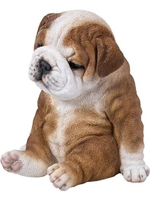Peri Store Oturan Uykulu Bulldog Yavru Köpek