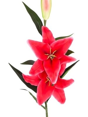 Assess Store Yapay Çiçek Lilyum Fuşya 90 Cm.