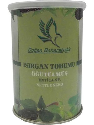 Uravas Store Isırgan Tohumu Doğal Öğütülmüş Toz 150 gr Teneke Kutu