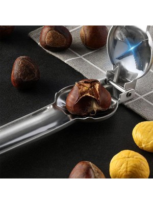 Evimdeyokyok Profesyonel Metal Kestane Çizici Pense Tdrtr