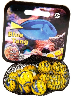 Şeker Adası Filede Kaliteli Deniz Hayvanları Misket 1 / Blue Tang