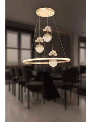3+1 Çember Şeker Toplu Rose Gold LED Modern Sarkıt Avize