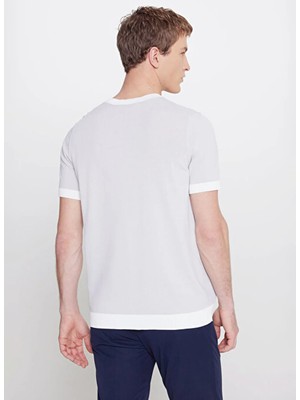 Altınyıldız Classics Gri Erkek Bisiklet Yaka Standart Fit T-Shirt ACE044262160