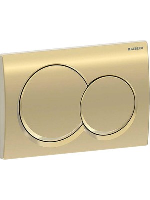 VitrA Geberit ALPHA01 115.035.QE.1 Kumanda Kapağı - Çift Basmalı - Pirinç