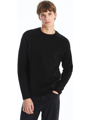 LC Waikiki Bisiklet Yaka Erkek Triko Kazak  (W4)