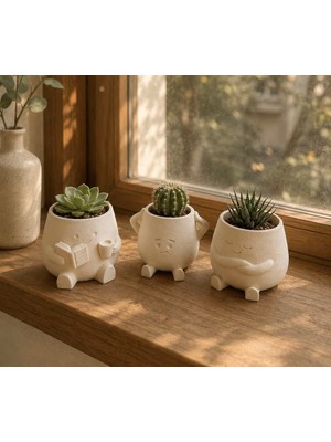 Msv Studio 3d 3’lü Mini Sukulent Saksı Seti | Tatlı Dekoratif Saksılar