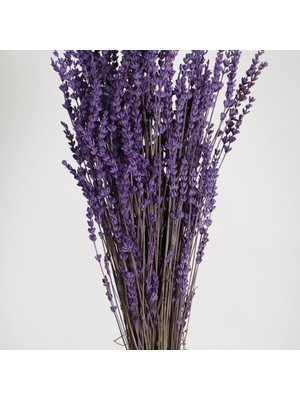 Froyi Şoklanmış Dökülmeye Dayanıklı Gerçek Lavanta Demeti Mor (100 Gr)
