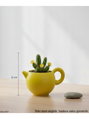 Sarı Çaydanlık Şeklinde Mini Dekoratif Saksı 6 cm Masa Üstü Ofis Dekoru