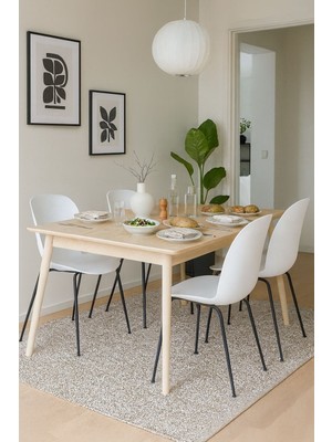Chairlife Beetle Sandalye (4 Adet)