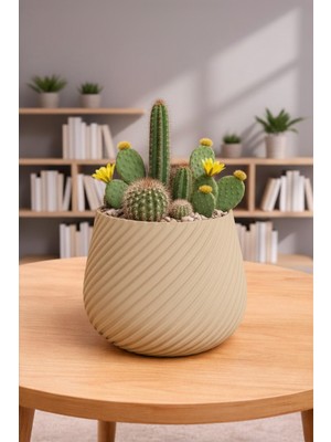 Triora Design Çapraz Çizgili Dekoratif Saksı – Modern Minimal 3D Pla Iç Mekan Saksısı