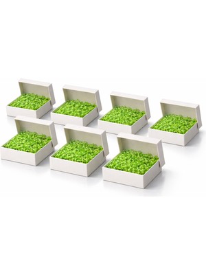 Orbak Kağıtçılık Beyaz Karton Takı Kutusu 9,5x9,5x2 cm – Kapaklı Model | 10 Adet + Yeşil Kırpık Kağıtlı