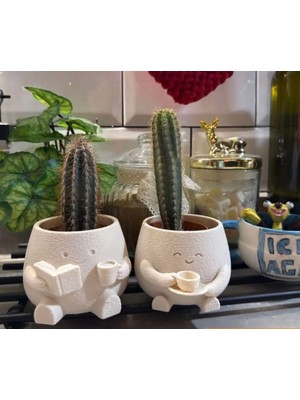 Msv Studio 3d Dekoratif Sevimli Saksı 2’li/ Kitap Kahve Temalı Mini Saksı