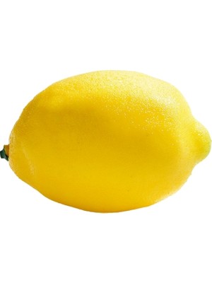 Nettenevime Yapay Meyve Sebze Limon