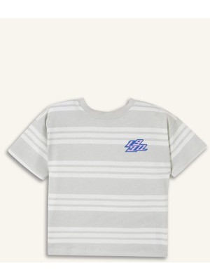 DeFacto Regular Fit Kısa Kollu Gri Tişört Erkek Bebek H4799A526SM