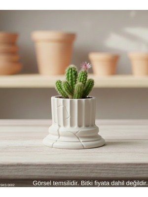 Ulora Beyaz Klasik Sütun Form Mini Dekoratif Saksı – 7 cm Masaüstü &amp; Ofis Dekoru