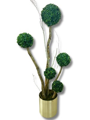 Cihan Çiçekçilik Yapay Ağaç 5 Li Şimşir Top 170 cm 30X30 Metal Saksı