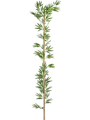 Cihan Çiçekçilik Bambu Çubuk 150 cm