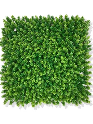 Cihan Çiçekçilik Yapay Çamdalı Bitki Duvar Kaplama 50X50 cm Açık Yeşil