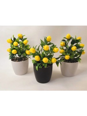 Cihan Çiçekçilik Yeşil Sarı Limon Ağacı 3'lü Set 15