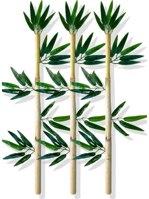 Cihan Çiçekçilik Yapay Yapraklı Dekoratif Bambu Çubuğu 80 cm 3 Adet Islak Doku